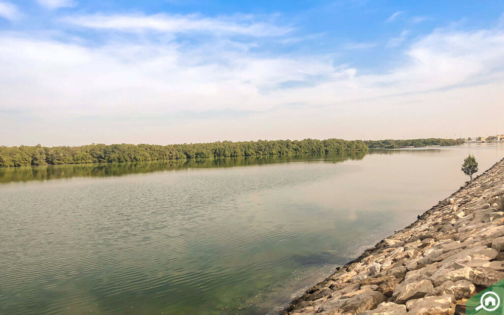 BEST KAYAKING PLACES IN ABU DHABI