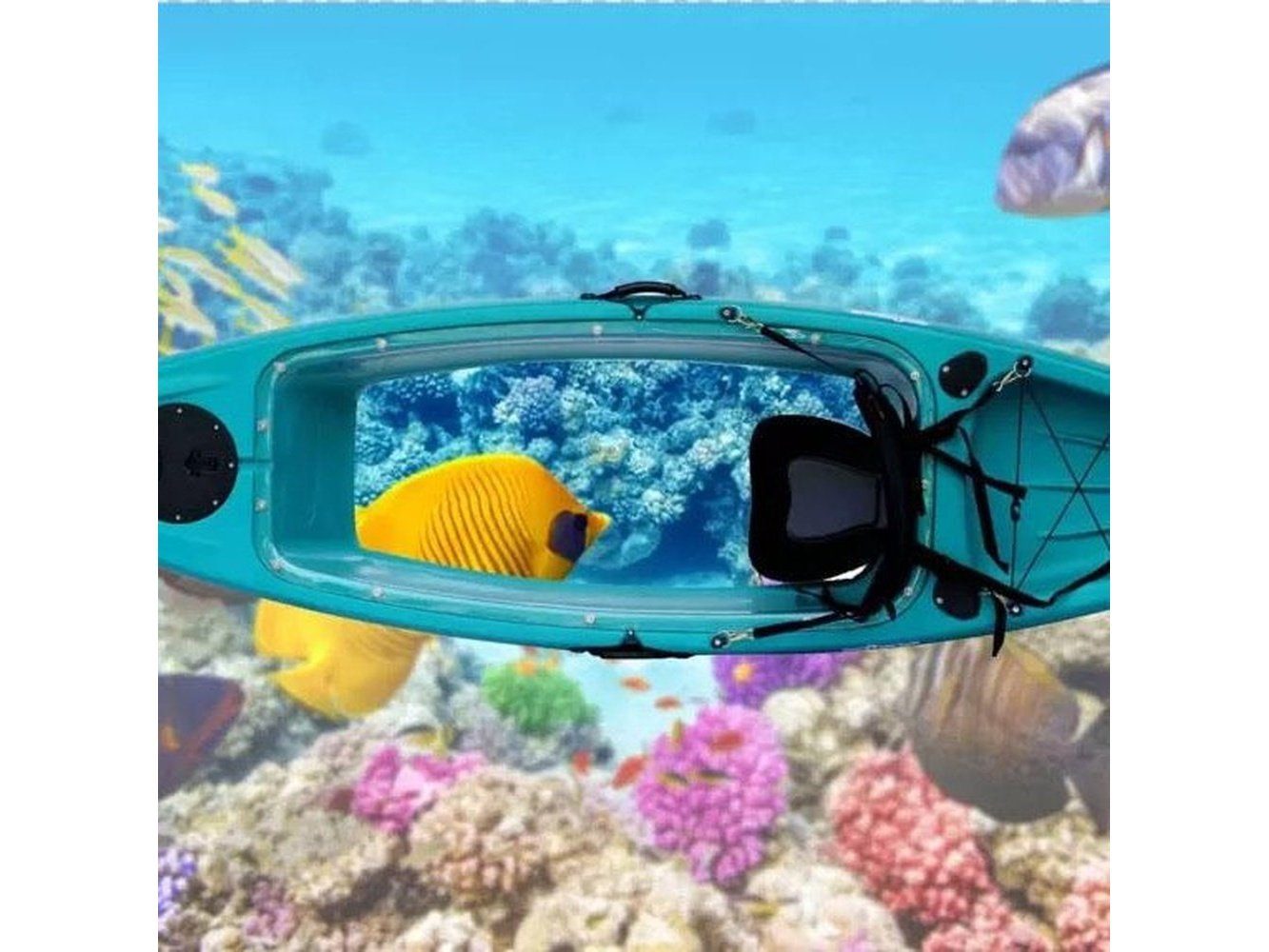 Bottom Clear Kayak Single